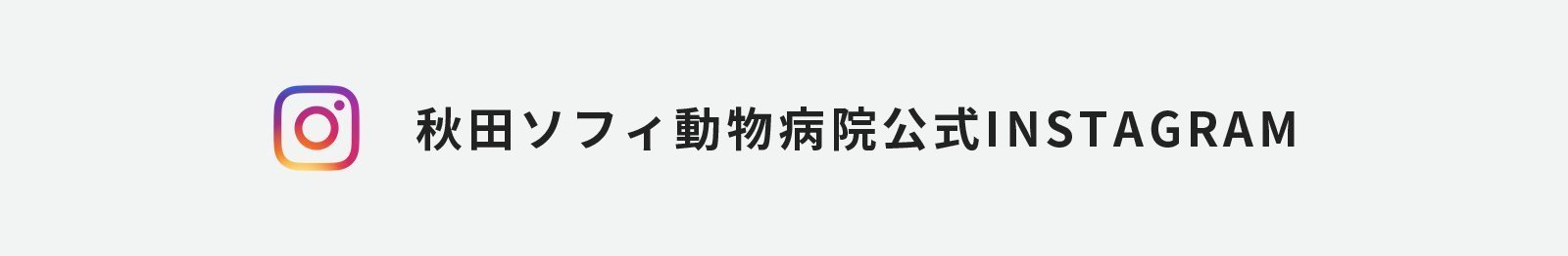 秋田ソフィ動物病院公式INSTAGRAM